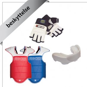 beskyttelse til taekwondo