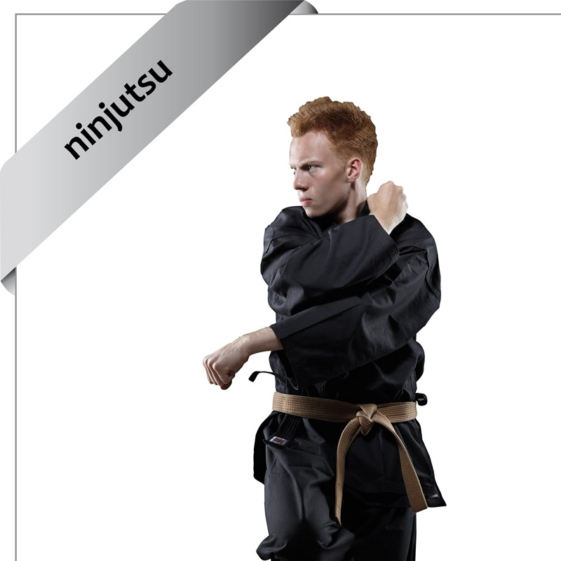gier til ninjutsu