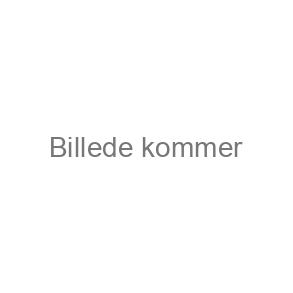 BÆLTEBRODERING - 2-FARVET