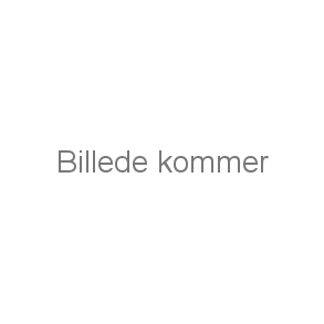 BÆLTEBRODERING - 2-FARVET