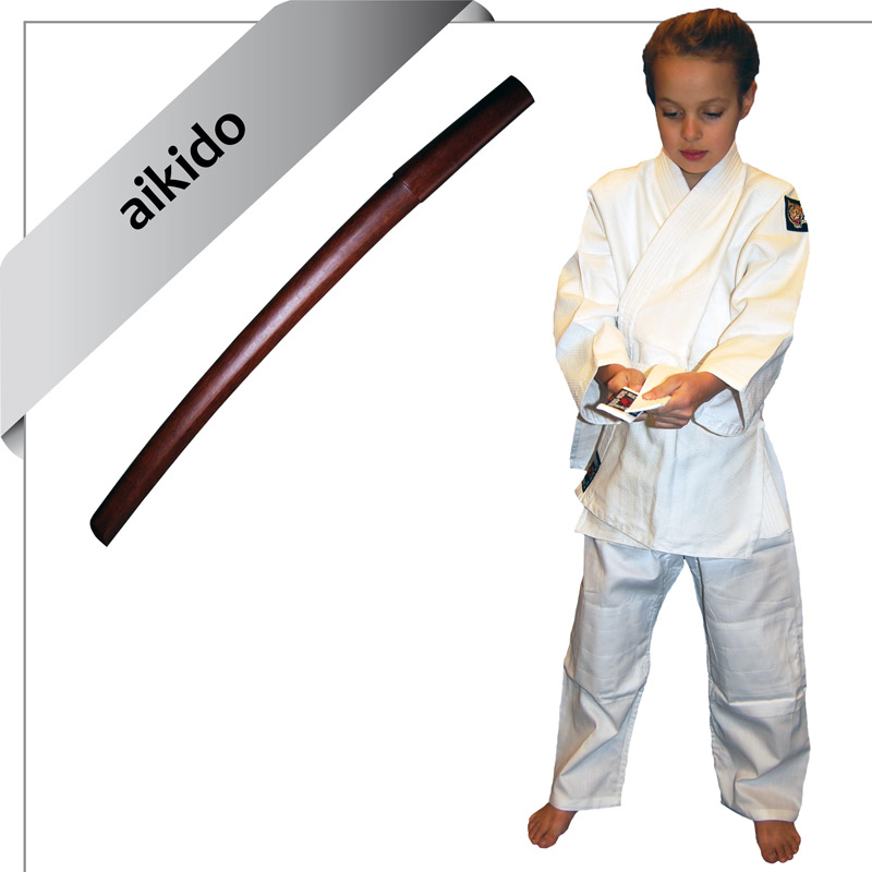 godt i gang med aikido