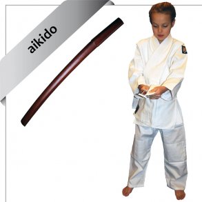 godt i gang med aikido